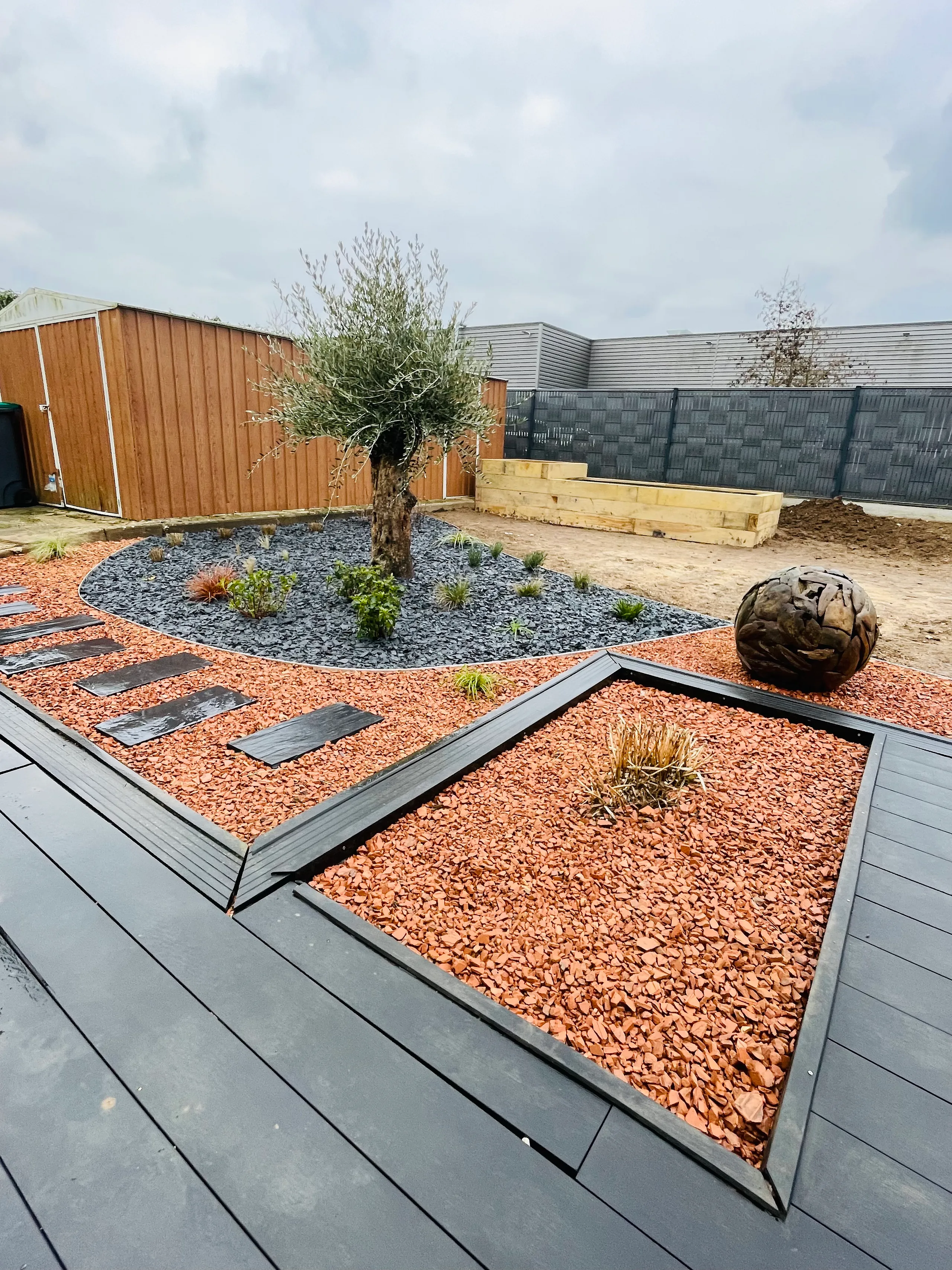 Jardin contemporain avec terrasse composite et olivier