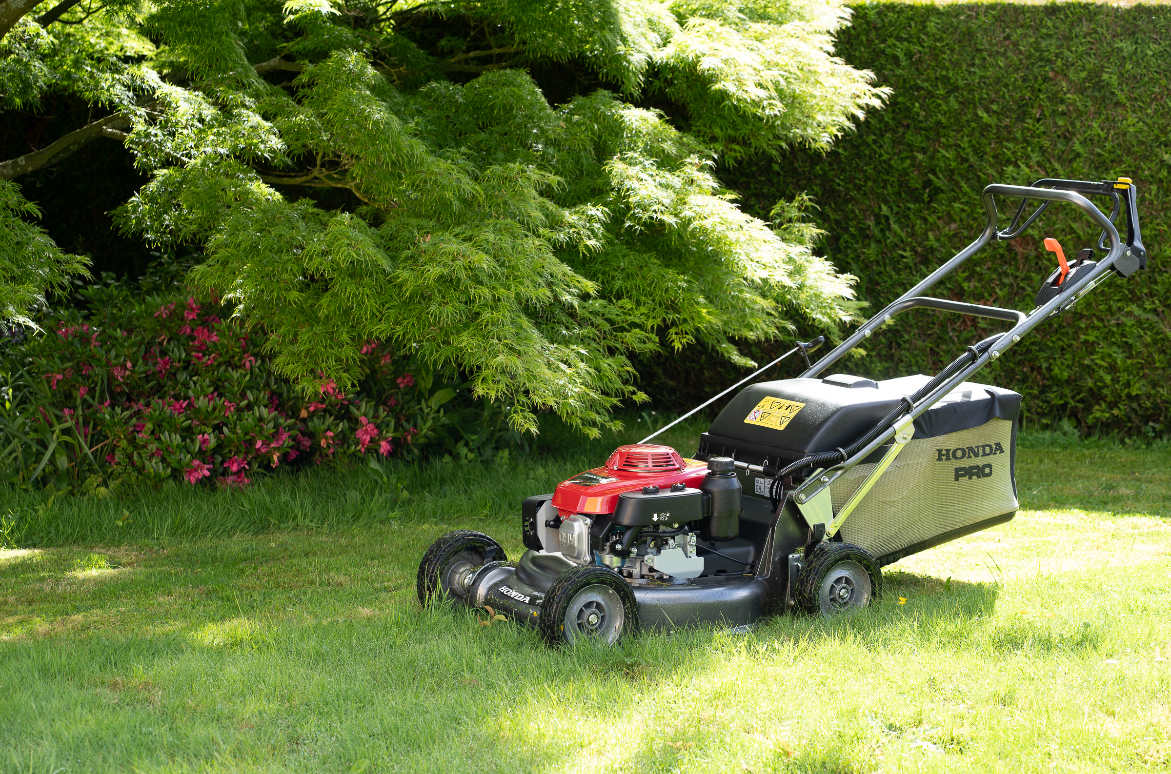 Benjamin Egret - Paysagiste CONFORT O JARDIN